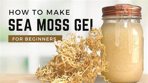 Sea moss has officially become one of the biggest health trends to hit the superfood scene lately. Celebrities, influencers and health gurus are singing the supplement’s praises, c...